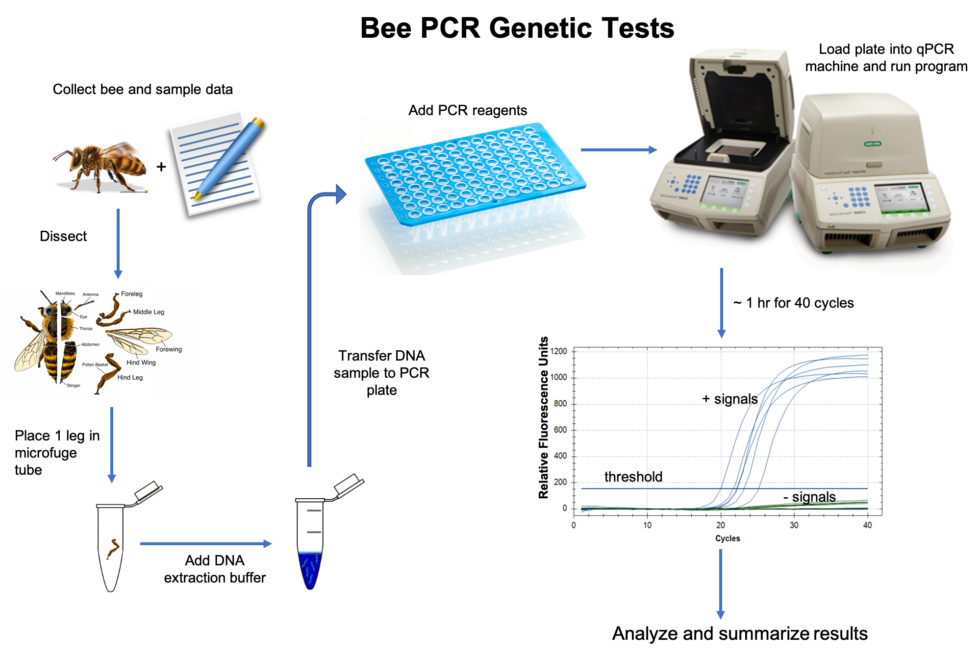 PCR Test Workflow