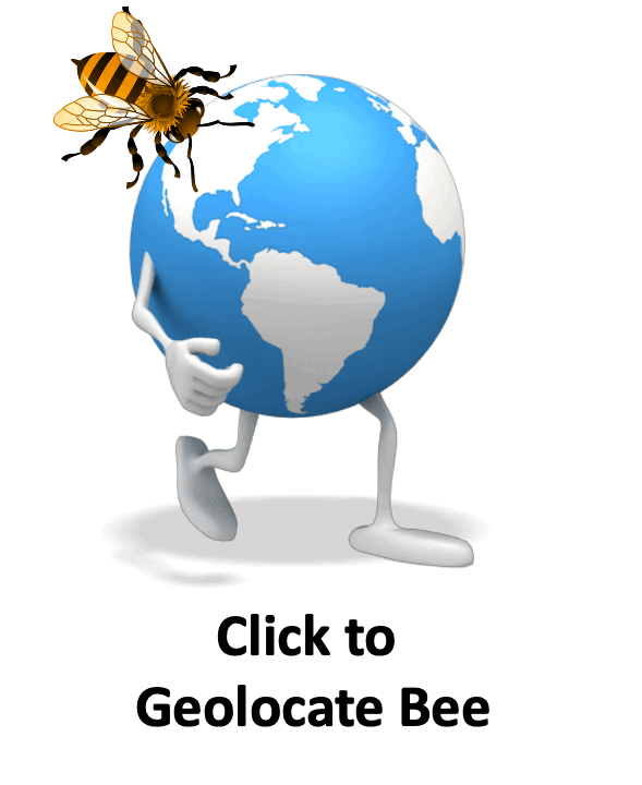 bee geolocate2